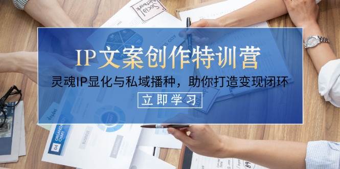 IP文案创作特训营，灵魂IP显化与私域播种，助你打造变现闭环(14节课)-彼飞网创