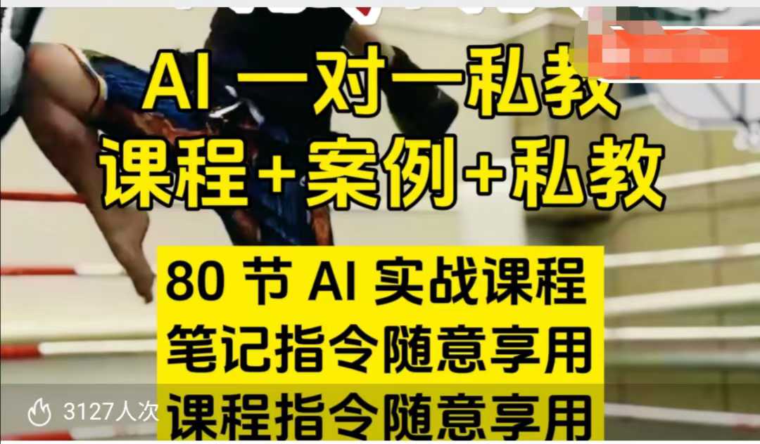 AI指令实战课，课程+案例，80节AI实战课程，笔记指令随意享用，课程指令随意享用(更新7月)-彼飞网创