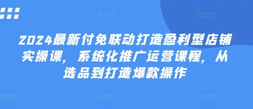 2024最新付免联动打造盈利型店铺实操课，​系统化推广运营课程，从选品到打造爆款操作-彼飞网创