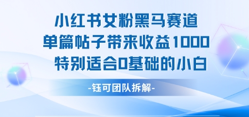 小红书女粉黑马赛道单篇帖子带来收益1k+，特别适合0基础的小白-彼飞网创