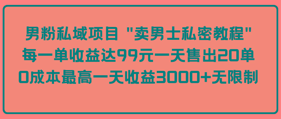 (9730期)男粉私域项目 “卖男士私密教程” 每一单收益达99元一天售出20单-彼飞网创
