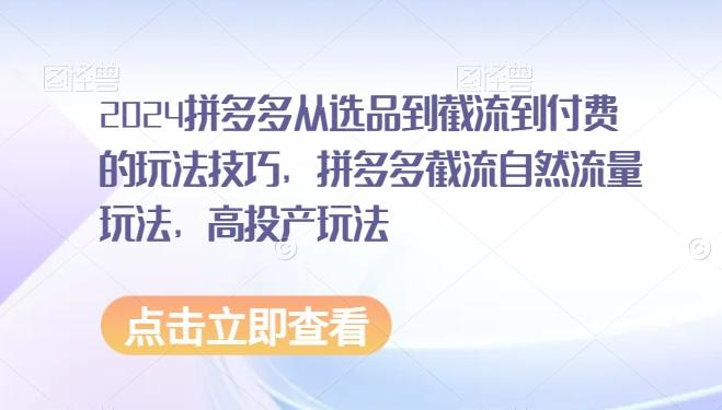 2024拼多多从选品到截流到付费的玩法技巧，拼多多截流自然流量玩法，高投产玩法-彼飞网创