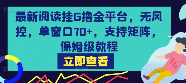 最新阅读挂G撸金平台，无风控，单窗口70+，支持矩阵，保姆级教程【揭秘】-彼飞网创
