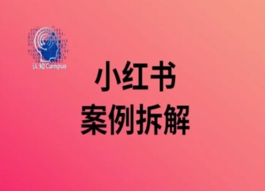 小红书案例拆解，深度解读小红书40万粉-彼飞网创