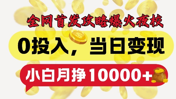 全网首发爆火夜校，0投入，当日变现，小白轻松月入1w+【揭秘】-彼飞网创