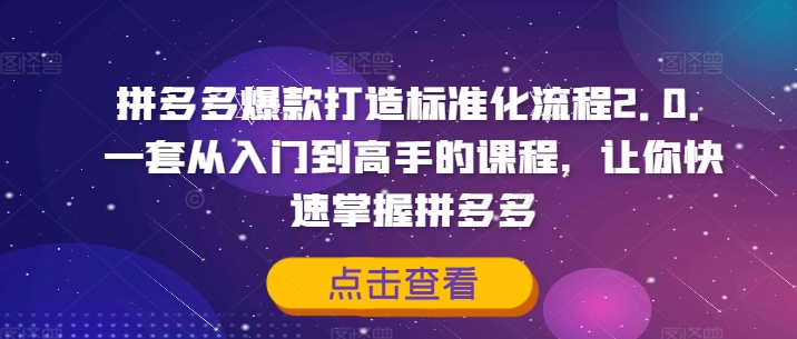 拼多多爆款打造标准化流程2.0，一套从入门到高手的课程，让你快速掌握拼多多-彼飞网创
