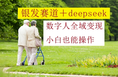 银发赛道+deepseek数字人全域变现，小白也能操作-彼飞网创