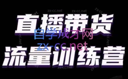婉婉·直播带货课程系列合集(更新8月)-彼飞网创