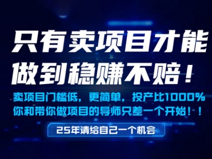 只有卖项目才能做到稳挣不赔，门槛低，更简单，你也可以年入百个W【揭秘】-彼飞网创
