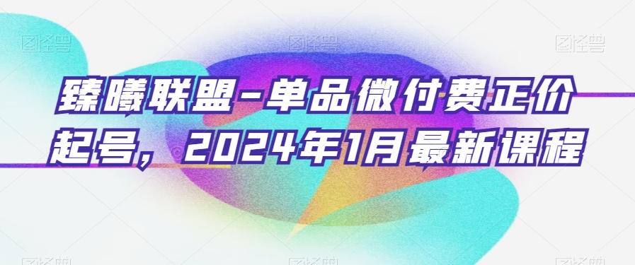 臻曦联盟-单品微付费正价起号，2024年1月最新课程-彼飞网创