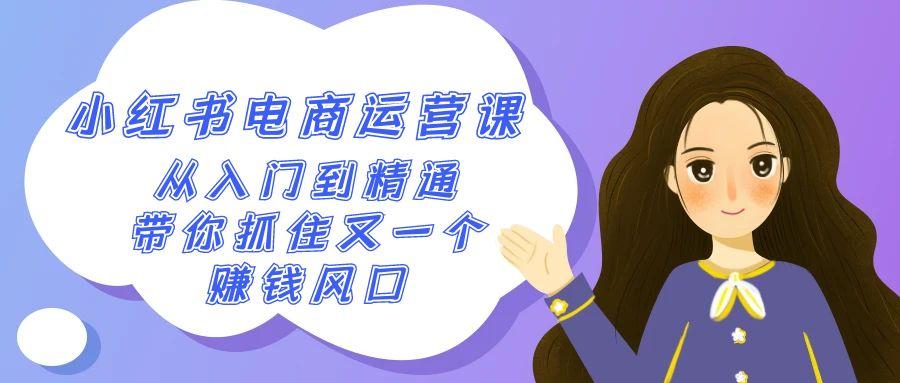 2024小红书电商运营课，从入门到精通，带你抓住又一个赚钱风口(50节课)-彼飞网创