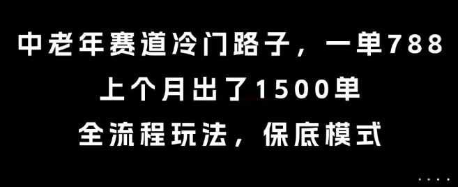 中老年赛道冷门路子，一单788，上个月出了1500单，全流程玩法，保底模式【揭秘】-彼飞网创