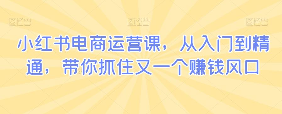 小红书电商运营课，从入门到精通，带你抓住又一个赚钱风口-彼飞网创