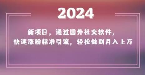 2024新项目，通过国外社交软件，快速涨粉精准引流，轻松做到月入上万【揭秘】-彼飞网创