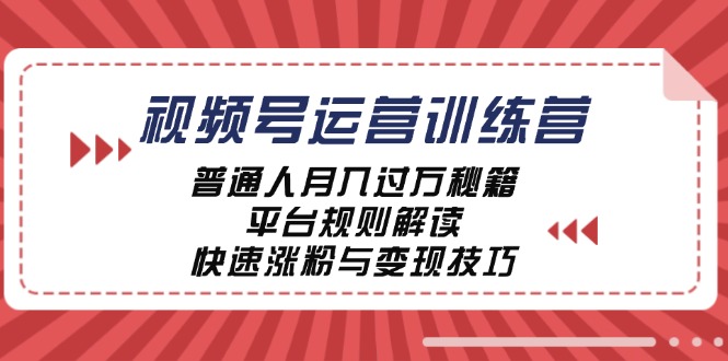 视频号运营训练营：普通人月入过万秘籍，平台规则解读，快速涨粉与变现-彼飞网创