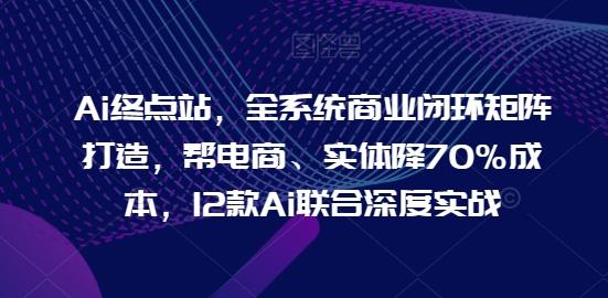 Ai终点站，全系统商业闭环矩阵打造，帮电商、实体降70%成本，12款Ai联合深度实战-彼飞网创