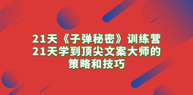 21天《子弹秘密》训练营，21天学到顶尖文案大师的策略和技巧-彼飞网创