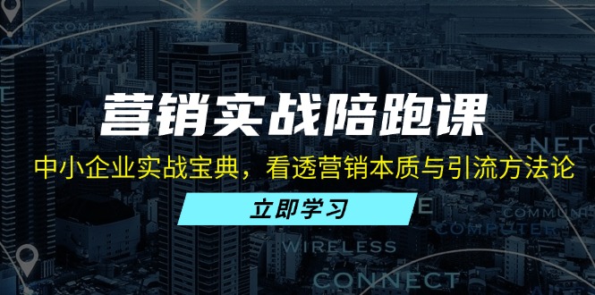 营销实战陪跑课：中小企业实战宝典，看透营销本质与引流方法论-彼飞网创