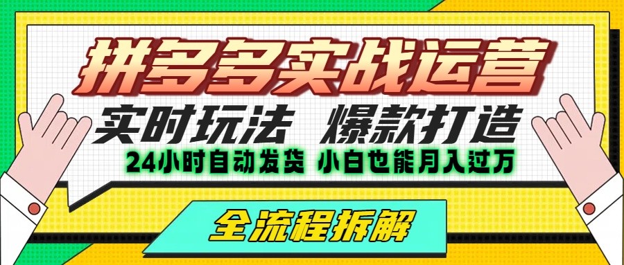 拼多多最新实战运营高投产：长久稳定项目，单店利润一天三位数-彼飞网创