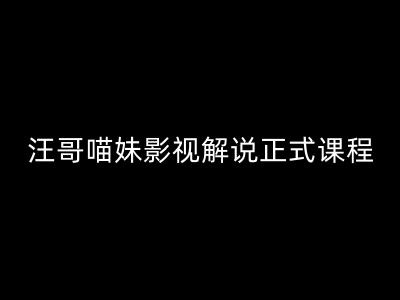 汪哥影视解说正式课程：剪映/PR教学/视解说剪辑5大黄金法则/全流程剪辑7把利器等等-彼飞网创