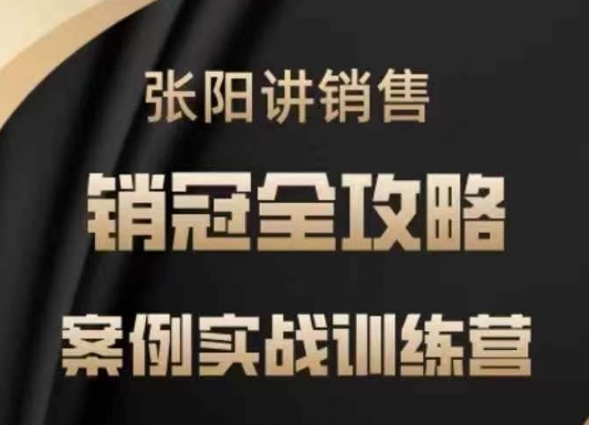 张阳讲销售实战训练营，​案例实战训练，销冠全攻略-彼飞网创
