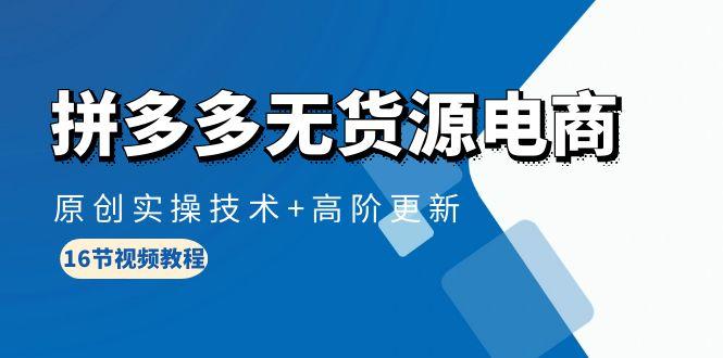 (10015期)拼多多无货源电商，原创实操技术+高阶更新(16节视频教程)-彼飞网创