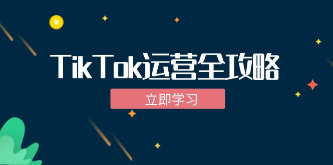 TikTok实战运营全攻略：从下载软件到变现，抖音海外版实操教程-彼飞网创