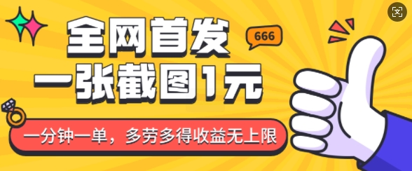 全网首发，一张截图1块钱，一分钟一单，多劳多得，收益无上限-彼飞网创