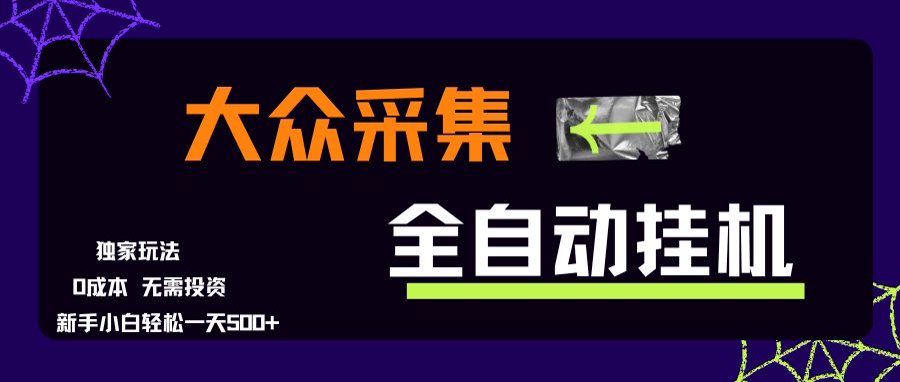 大众采集全自动玩法，新手小白轻松一天500+，操作简单-彼飞网创