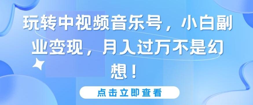 玩转中视频音乐号，小白副业变现，月入过万不是幻想【揭秘】-彼飞网创