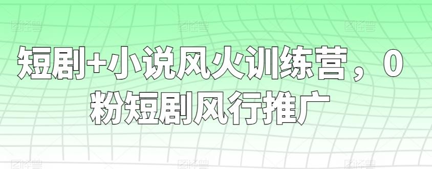 短剧+小说风火训练营，0粉短剧风行推广-彼飞网创