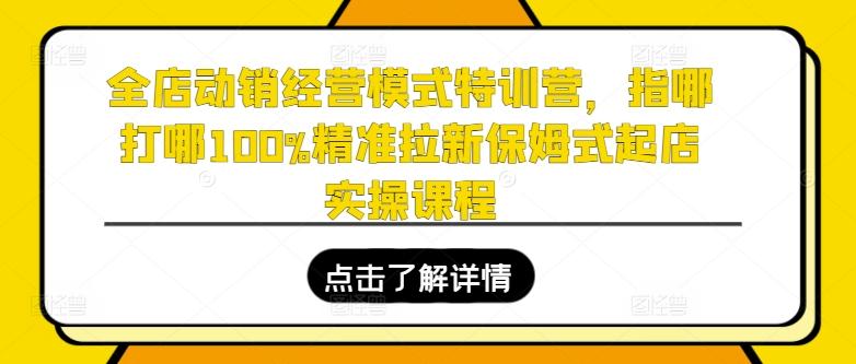 全店动销经营模式特训营，指哪打哪100%精准拉新保姆式起店实操课程-彼飞网创