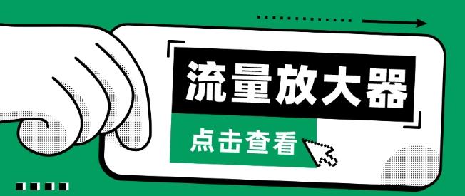 流量放大器，抖音公私域变现+soul私域轰炸器【揭秘】-彼飞网创