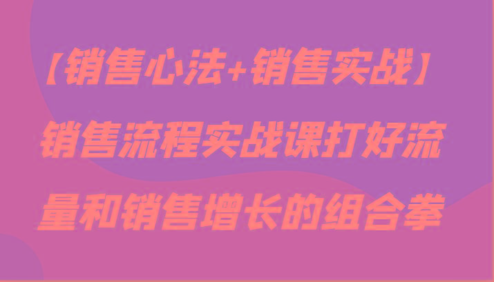 【销售心法+销售实战】销售流程实战课打好流量和销售增长的组合拳-彼飞网创