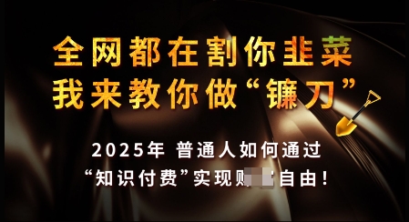 知识付费如何做到月入过W+，2025我来教你做“镰刀”【揭秘】-彼飞网创