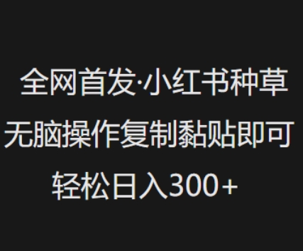 全网首发，小红书种草无脑操作，复制黏贴即可，轻松日入3张-彼飞网创
