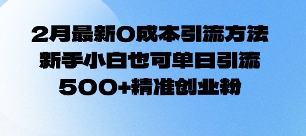 2月最新0成本引流方法，新手小白也可单日引流500+精准创业粉-彼飞网创