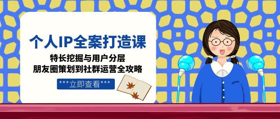 个人IP全案打造课，特长挖掘与用户分层，朋友圈策划到社群运营全攻略-彼飞网创