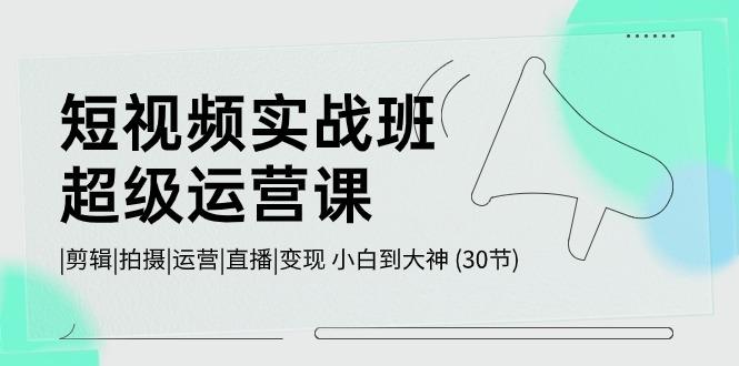 短视频实战班超级运营课 |剪辑|拍摄|运营|直播|变现 小白到大神 (30节)-彼飞网创