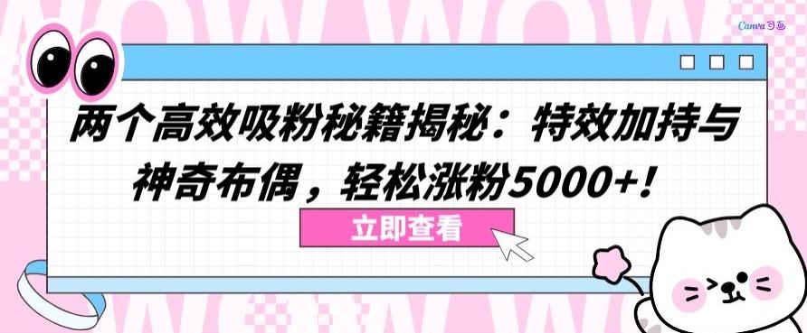 两个高效吸粉秘籍揭秘：特效加持与神奇布偶，轻松涨粉5000+【揭秘】-彼飞网创