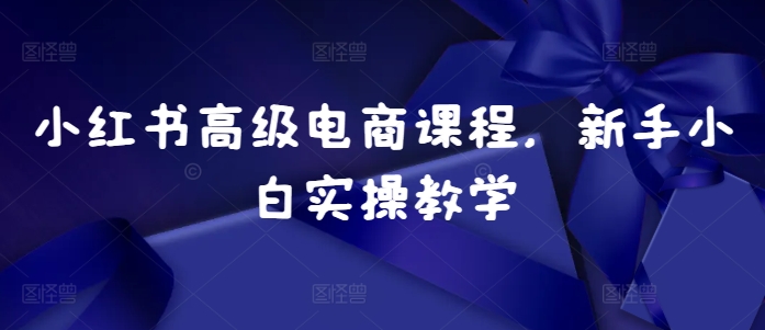 小红书高级电商课程，新手小白实操教学-彼飞网创
