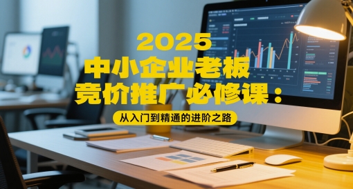 2025中小企业老板竞价推广必修课：从入门到精通的进阶之路-彼飞网创