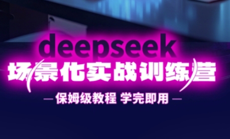 DeepSeek场景化实战训练营，保姆级教程，学完即用，手把手教你用DeepSeek提升效率-彼飞网创