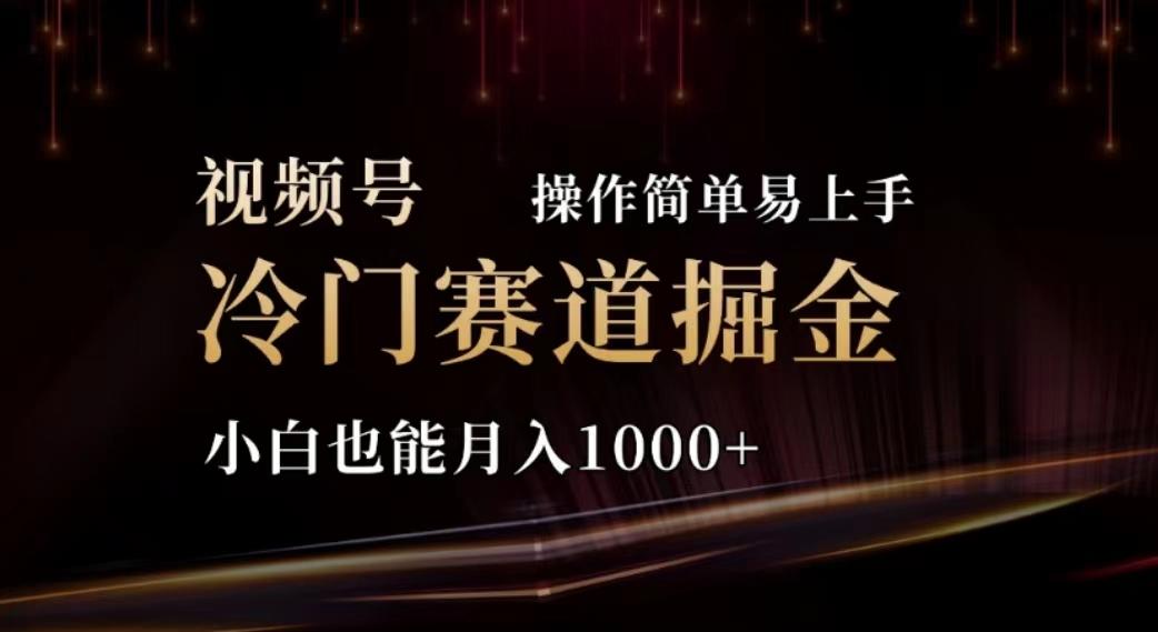 2024视频号冷门赛道掘金，操作简单轻松上手，小白也能月入1000+-彼飞网创