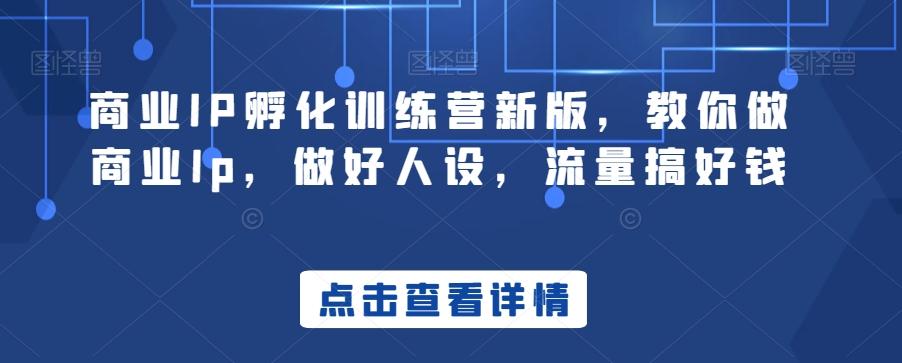 商业IP孵化训练营新版，教你做商业Ip，做好人设，流量搞好钱-彼飞网创