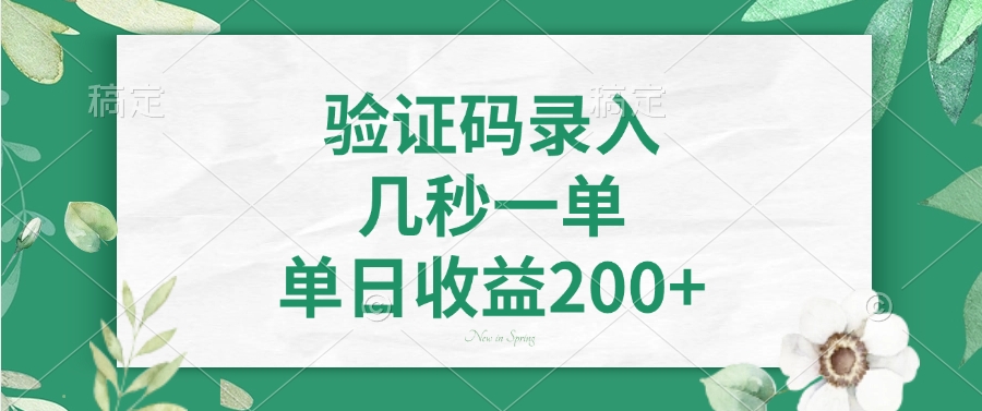 验证码录入，几秒一单，单日收益200+-彼飞网创