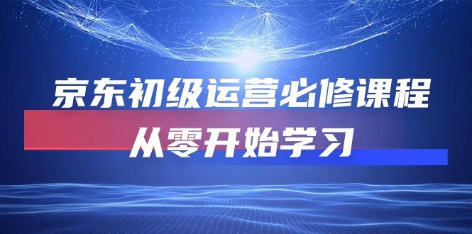 京东初级运营必修课程，从零开始学习(49节课-彼飞网创