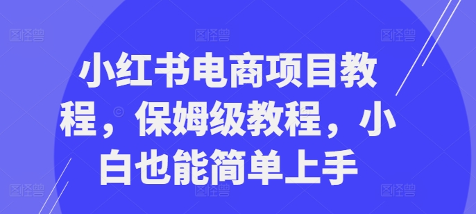 小红书电商项目教程，保姆级教程，小白也能简单上手-彼飞网创
