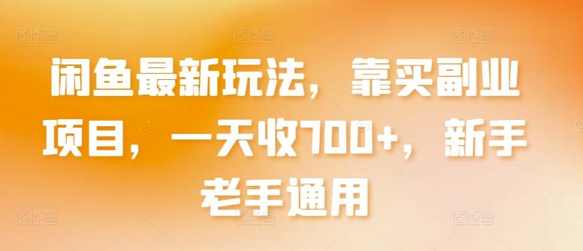 闲鱼最新玩法，靠买副业项目，一天收700+，新手老手通用【揭秘】-彼飞网创