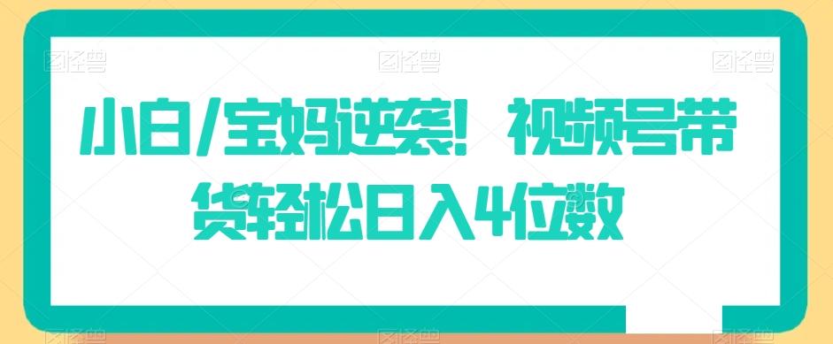 小白/宝妈逆袭！视频号带货轻松日入4位数【揭秘】-彼飞网创